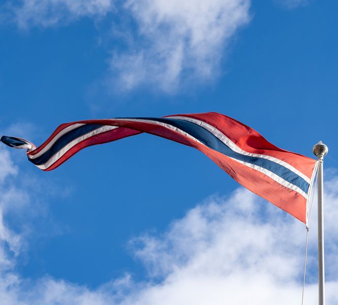 Hovedbilde Norsk vimpel til 5 meters flaggstang - 200 cm